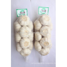 China Ajo blanco como la nieve en venta 1kg / bolsa